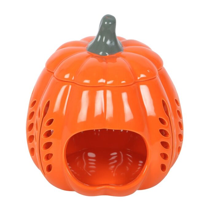 Calabaza naranja - Imagen 3